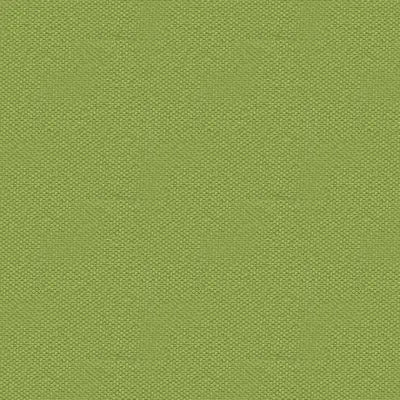 Lime interior colorway