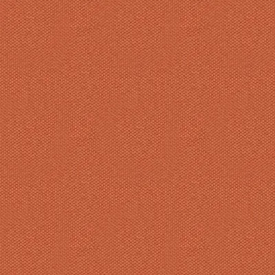Tangerine interior colorway